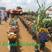 food1